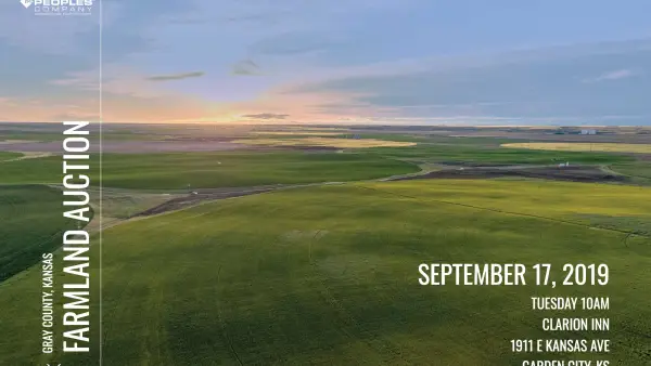 613 Agro Land Auction