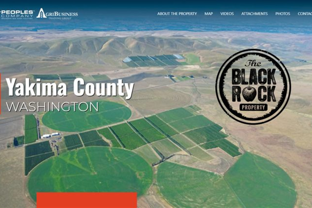 The Blackrock Property