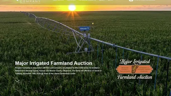 Franz Farms Auction