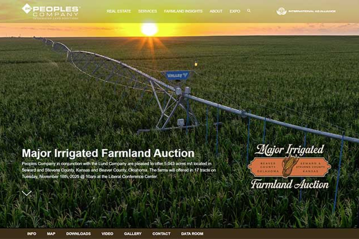 Franz Farms Auction