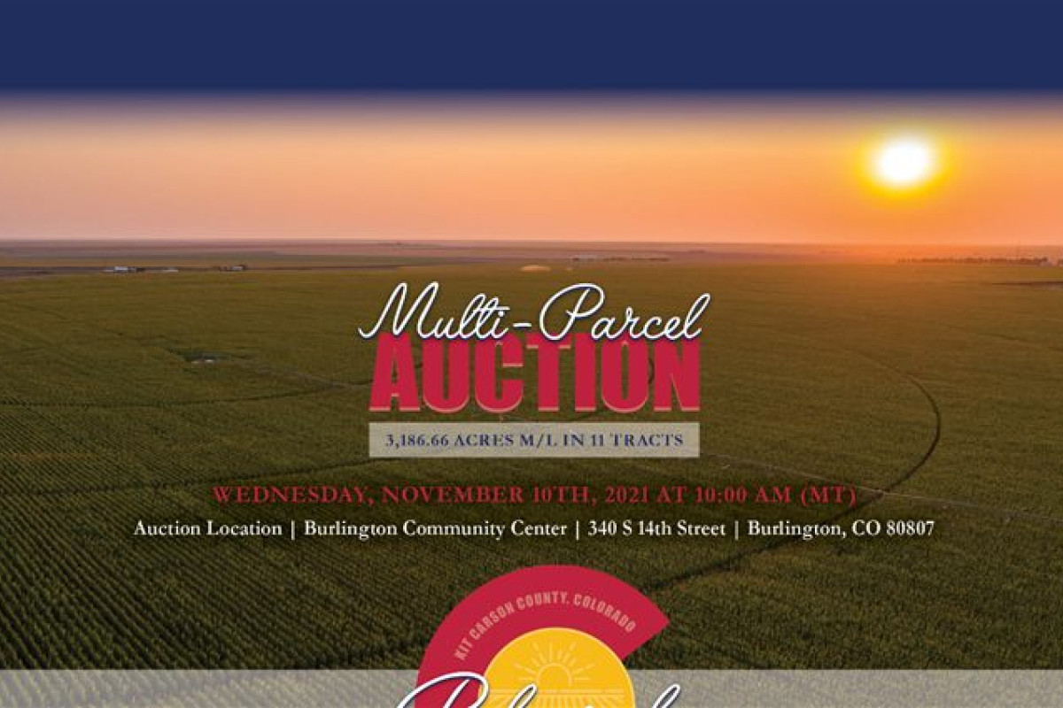 Pekarek Family Auction
