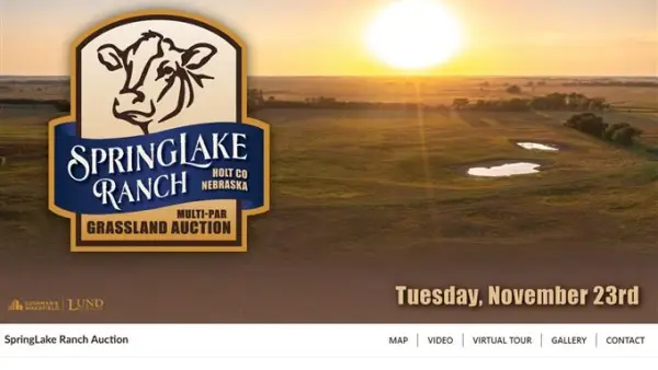 SpringLake Ranch Auction