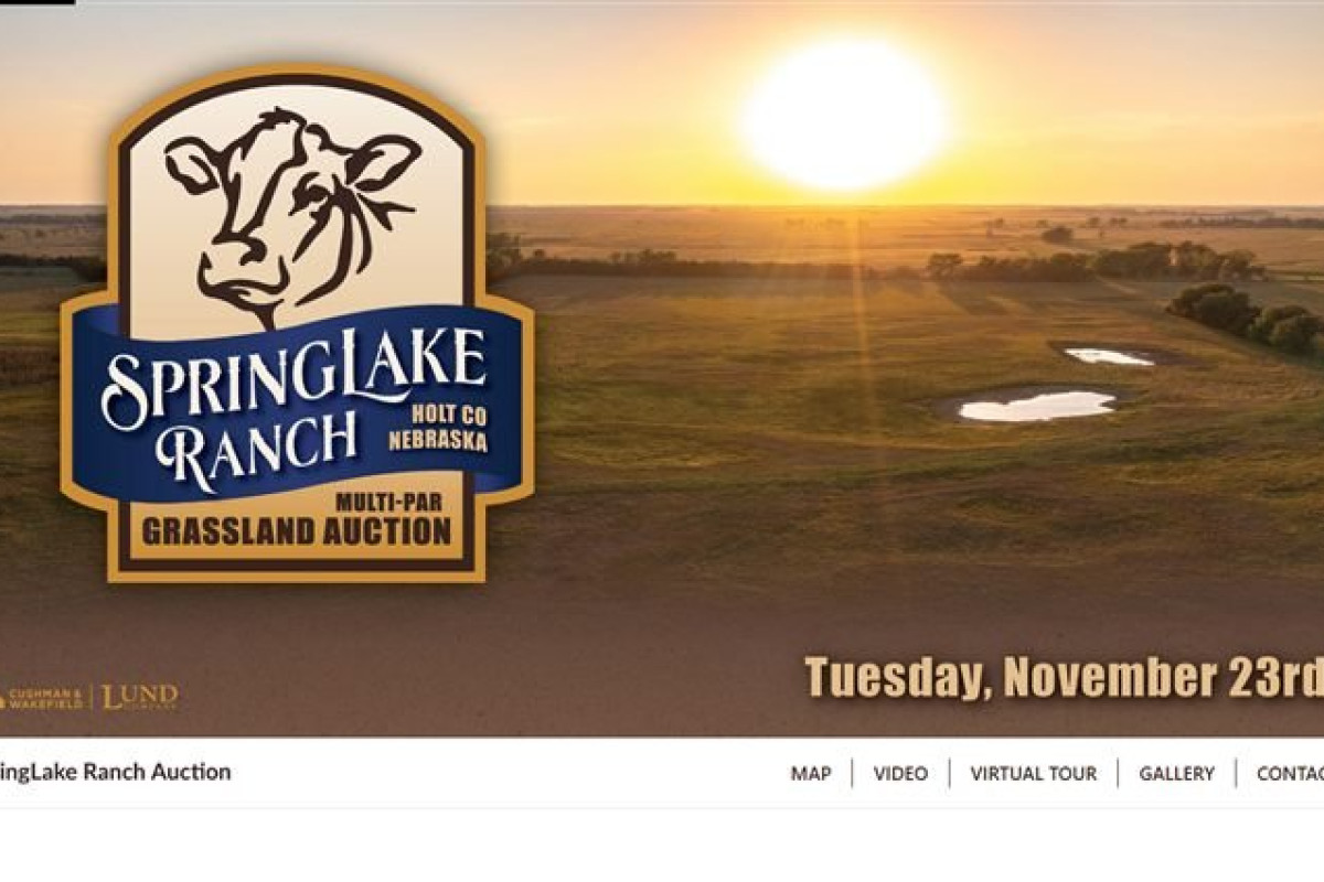 SpringLake Ranch Auction