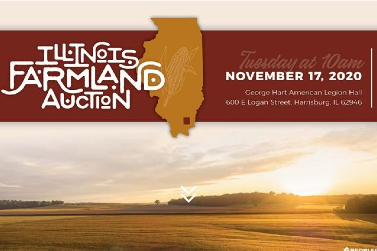 Saline County Farmland
